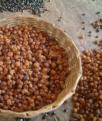 Organic Soap Nuts With Storage Bag & Mini Wash Bag